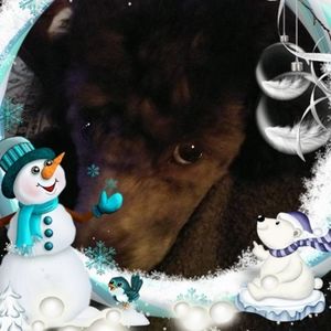 Meet your Posher, Jodi